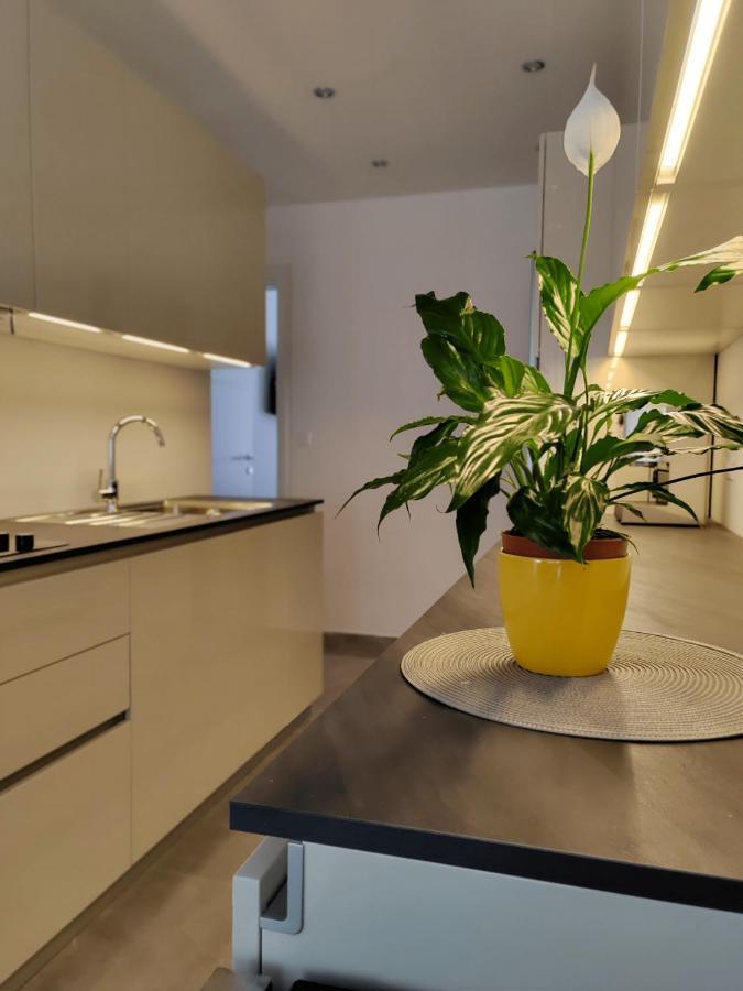 Petar Apartamento